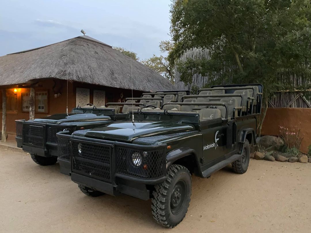 malamala luxury safari in south africa